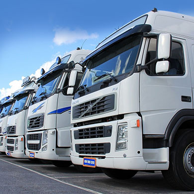 Our Vehicles